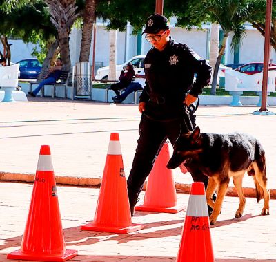 b_400_0_16777215_00_images_2022_septiembre_progreso_entrega-equipo-perros-policia-03.jpg