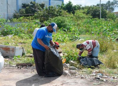 b_400_0_16777215_00_images_2020_diciembre_progreso_calles-flamboyanes-02.jpg