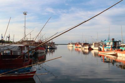 b_400_0_16777215_00_images_2020_enero_progreso_barcos.jpg