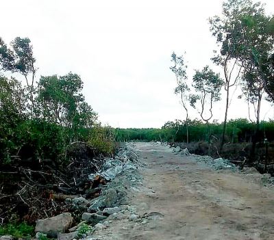 b_400_0_16777215_00_images_2020_febrero_yucatan_manglar-de-san-felipe.jpg