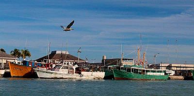 b_400_0_16777215_00_images_2020_julio_progreso_pescadores-chuburna-01.jpg