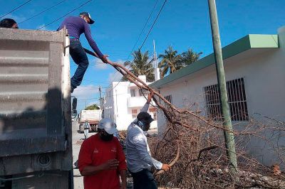 b_400_0_16777215_00_images_2020_junio_progreso_cacharros-02.jpg