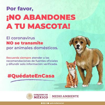 b_400_0_16777215_00_images_2020_marzo_nacional_no-abandones-a-tus-mascotas-1.jpg