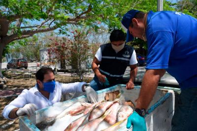 b_400_0_16777215_00_images_2020_marzo_progreso_cita-pescadores-1.jpg