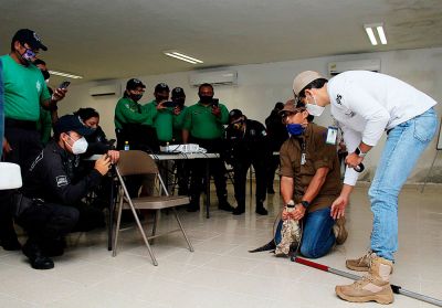 b_400_0_16777215_00_images_2020_octubre_progreso_policia-ecologica-04.jpg