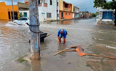 b_400_0_16777215_00_images_2020_octubre_progreso_reportes-01.jpg