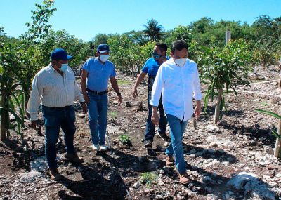 b_400_0_16777215_00_images_2021_febrero_yucatan_livorio-vidal-01.jpg