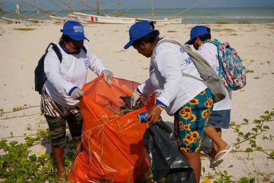 b_400_0_16777215_00_images_2021_octubre_progreso_limpieza-de-playa-02.jpg