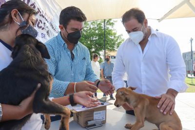 b_400_0_16777215_00_images_2021_septiembre_progreso_campaa-rabia-02.jpg