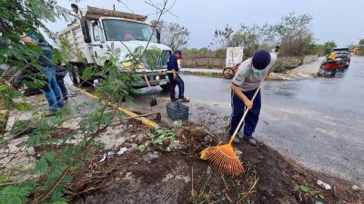 b_400_0_16777215_00_images_2022_febrero_progreso_flamboyanes-basurero-clandestino-01.jpg