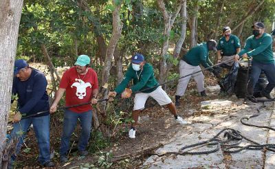 b_400_0_16777215_00_images_2022_mayo_progreso_recoelcta-de-basura-01.jpg