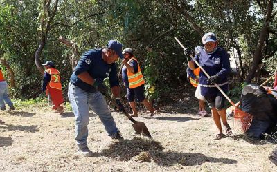 b_400_0_16777215_00_images_2022_mayo_progreso_recoelcta-de-basura-02.jpg