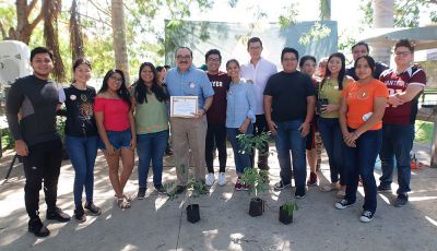 b_400_0_16777215_00_images_agosto_yucatan_jorge-arboles-2.jpg