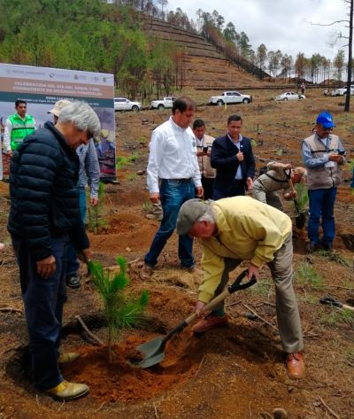 b_400_0_16777215_00_images_julio_nacional_Veracruz-cruzada-forestal.jpg