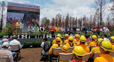 b_400_0_16777215_00_images_julio_nacional_Veracruz_COM3.jpg