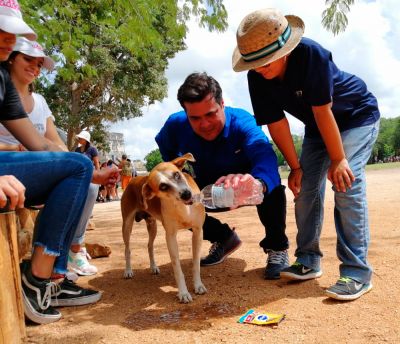 b_400_0_16777215_00_images_julio_yucatan_perritos-1.jpg