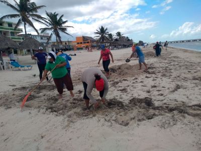 b_400_0_16777215_00_images_noviembre_progreso_limpieza-de-playa-2.jpg